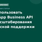 Как использовать WhatsApp Business API для масштабирования клиентской поддержки